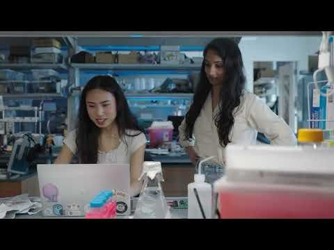 Health Innovations  in the Rice TMC Ecosystem ENRICH