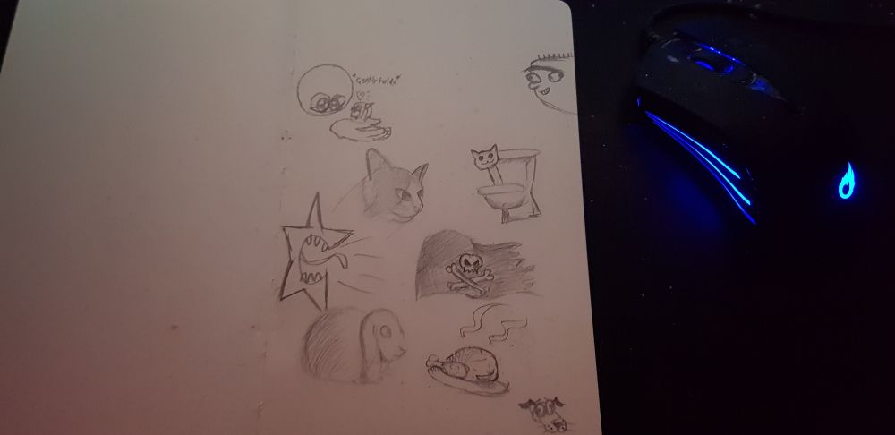 Sketchbook page filled with random sketches a requests.

Sketches include:
- Roast chicken
- pirate flag
- Starscream (I can't draw transformers so I took the request literally)
-My cat
- Someones rabbit
-Skibidi toilet cat
-Courage the cowardly dog
-Ed from Ed Edd n Eddy
- The "gently holds" meme with an addition of my OC Aoki