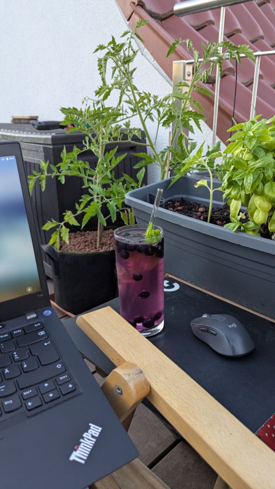 Balkon mit Tomatenpflanzen, Basilikum, lecker Drink, Liegestuhl, ThinkPad im Schoß. Was will man mehr?