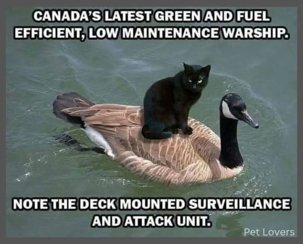 Picture of a Canada Goose with a black cat on its back.

Caption: Canada's latest green and fuel efficient, low maintenance warship.  Note the deck mounted surveillance and attack unit.
