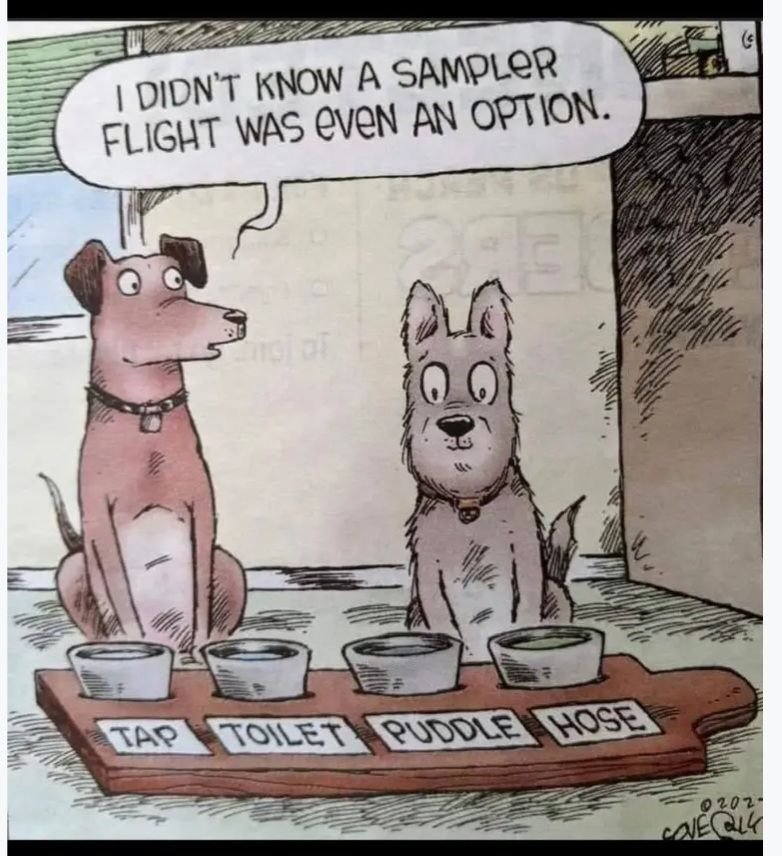 Cartoon of two dogs sitting in front of a row of bowls with the labels: Tap, Toilet, Puddle, Hose

Word bubble for one of the dogs (speaking to the other): I didn't know a sampler flight was even an option.