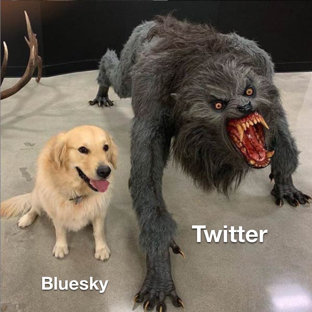 Un chien mignon type Golden Retriever est à côté d’un loup garou de film d’horreur. Sous le chien il est marqué Bluesky, sous le loup garou Twitter.