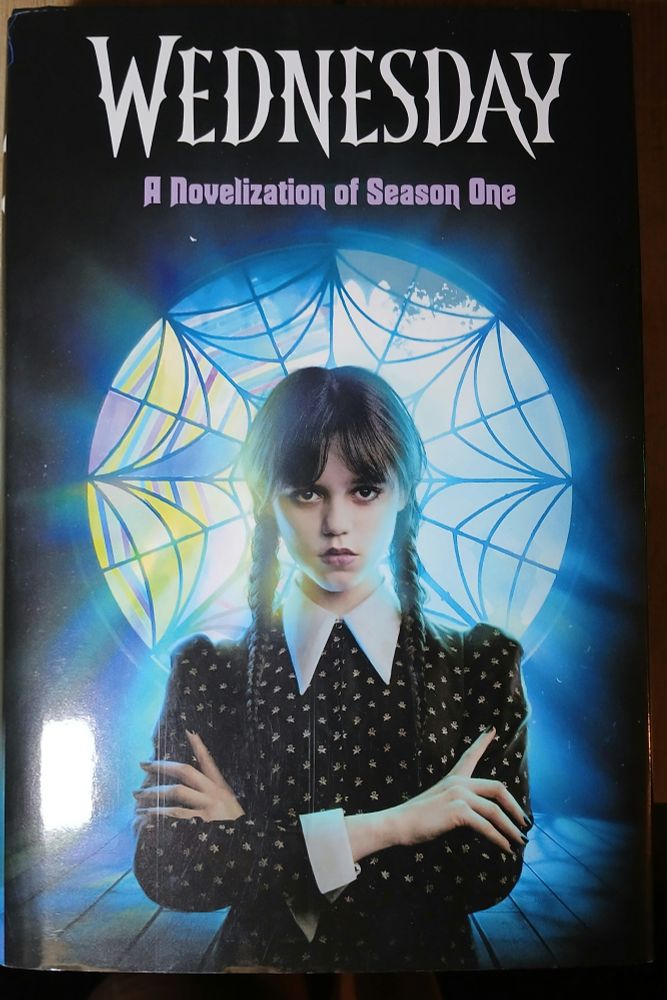Pic of a book:

Wednesday A novelization of Season One