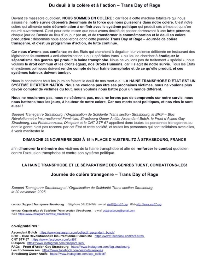 Appel à manifester pur le Trans Day of Rage le 23 novembre 2025 à Strasbourg
