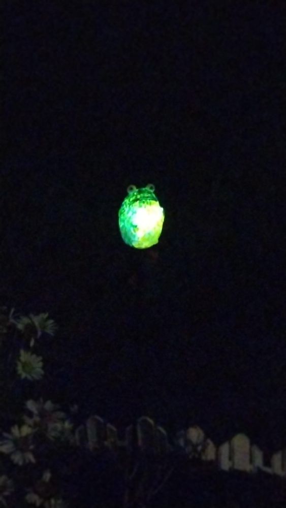 glowing forg, dark garden, blurry