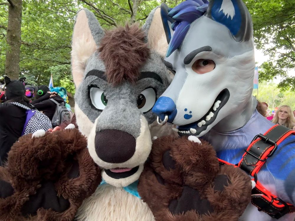 two people pose closely together at glasgow pride 2025; the person on the left wears a grey and brown wolf fursuit with raised paws, while the person on the right wears a blue and white husky mask with a nose ring, wearing a blue bodysuit with red harness straps. trees and other attendees are visible in the background.