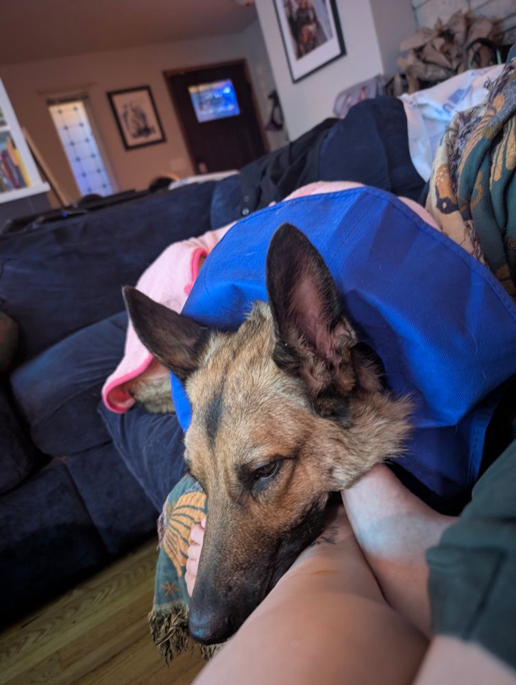 Dog with soft cone around neck laying on my feet. 