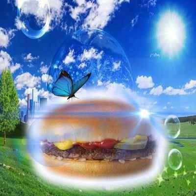 society if the butterfly hamgurger