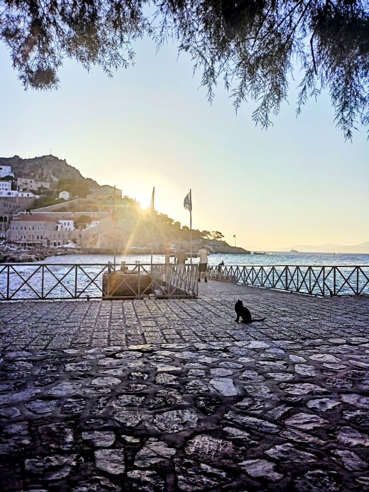 Weiteres Sonnenuntergangsbild mit einer Katze die vor dem Steg sitzt.