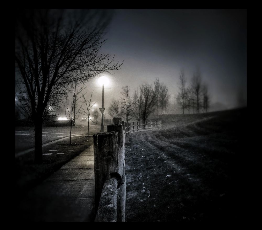 End of October night scene, dark, other than a few street lights that barely penetrate the fog, but enough to reveal shadowy skeleton type forms of trees, now void of leaves as the cold sleep of winter approaches.