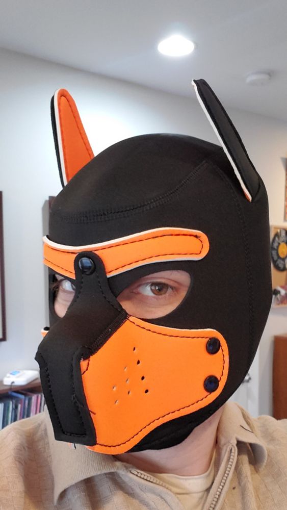Me wearing an orange and black pup hood