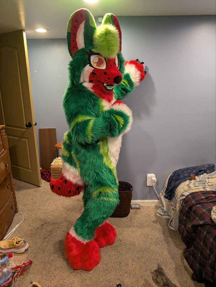 Suika full suit