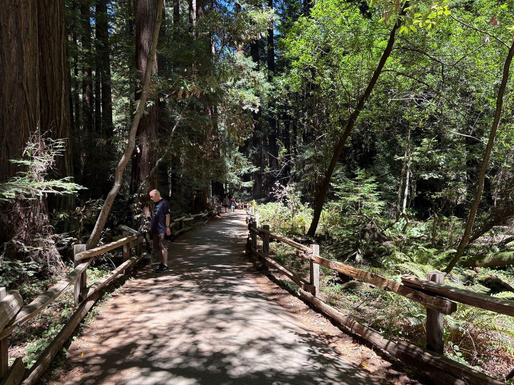 Muir Woods