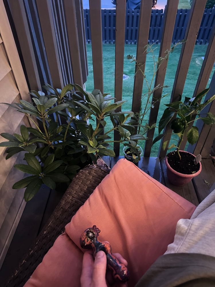Plants afraid to be smoked 
