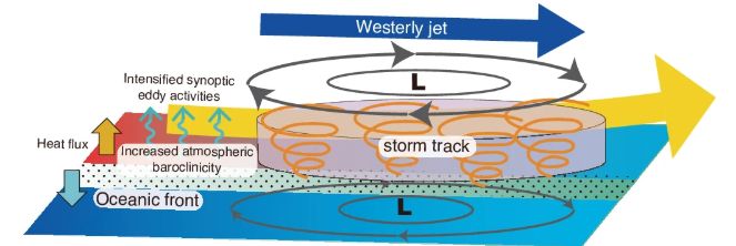 Schematic showing the processes behind the atmospheric response to variability of a sea surface temperature (SST) front.