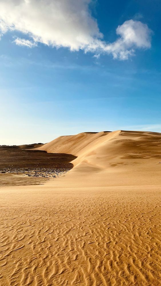 A vast desert landscape featuring golden sand dunes under a clear blue sky, showcasing the beauty of arid terrain.