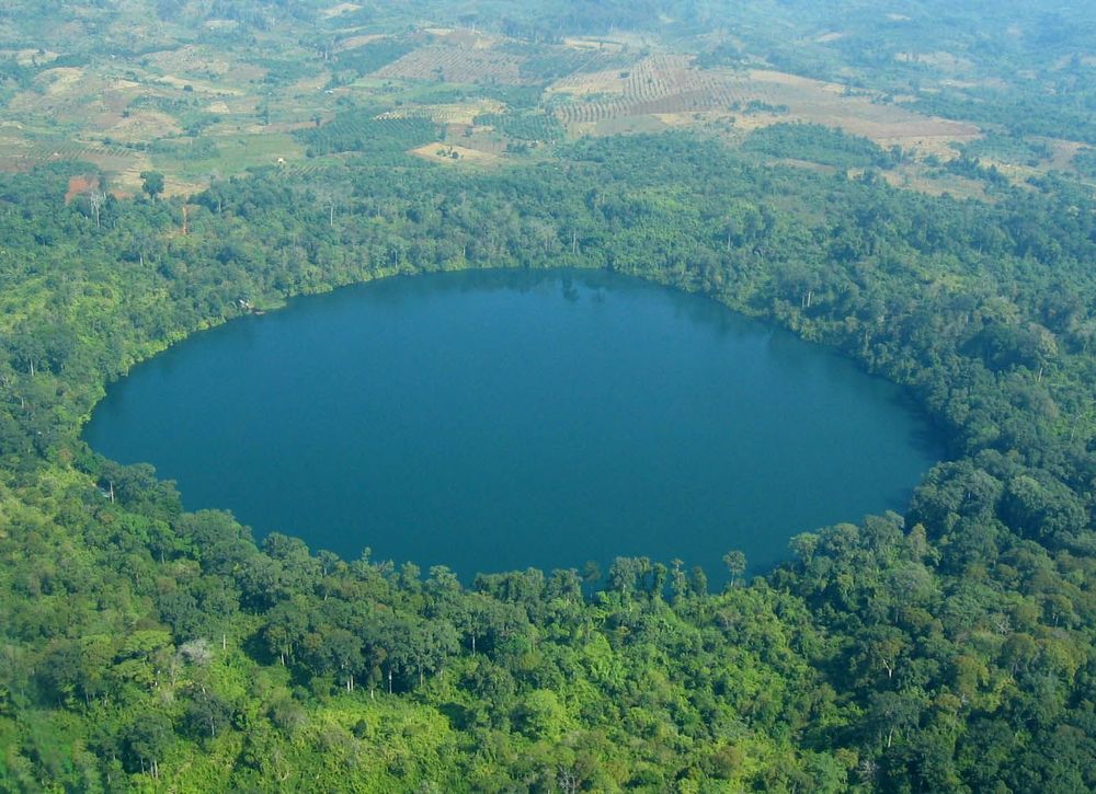 Aerial view of a vast lake encircled by lush green trees, showcasing the beauty of nature from above.