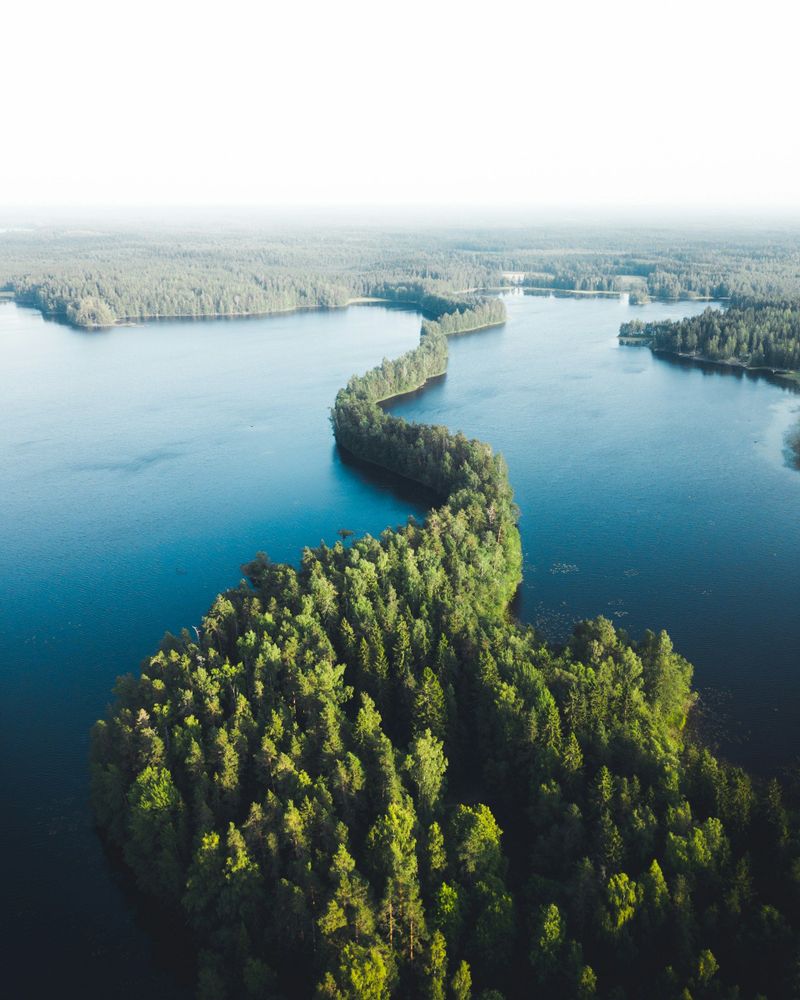 Aerial view of Liesjärvi Lake in Finland, encircled by lush green forests, showcasing nature's serene beauty.
