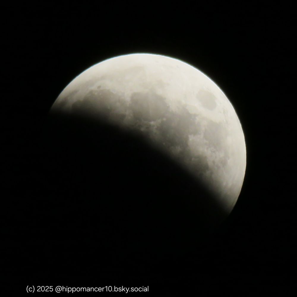 Full moon about half eclipsed