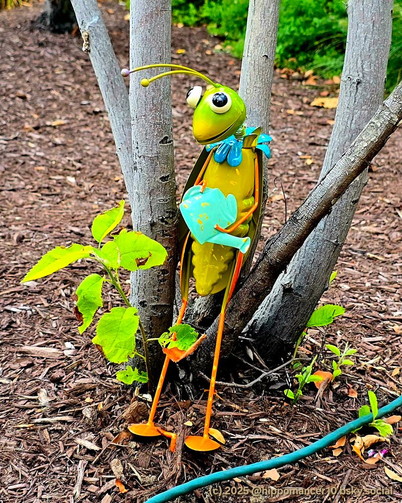Garden ornament cricket holding awatering can rests against a tree