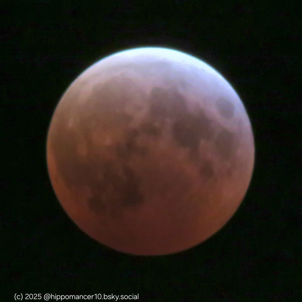 Full moon at total eclipse, the disk is now reddish