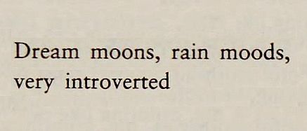 “Dream moons, rain moods, very introverted” - Sylvia Plath, from a diary entry featured in The Unabridged Journals of Sylvia Plath