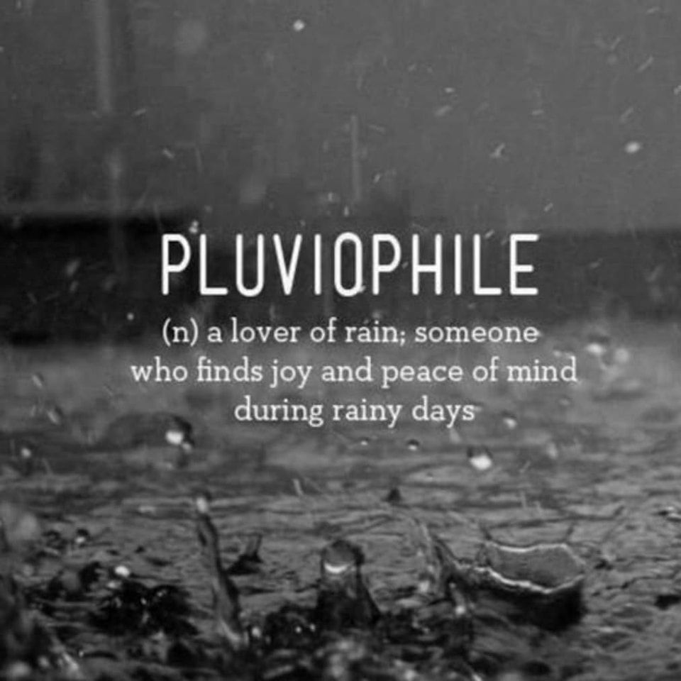 Pluviophile
(n.) a lover of rain; someone who finds joy and peace of mind during rainy days
