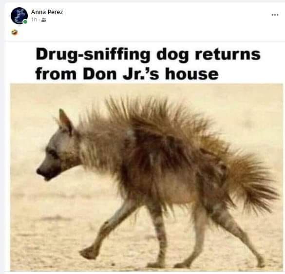 Comment image