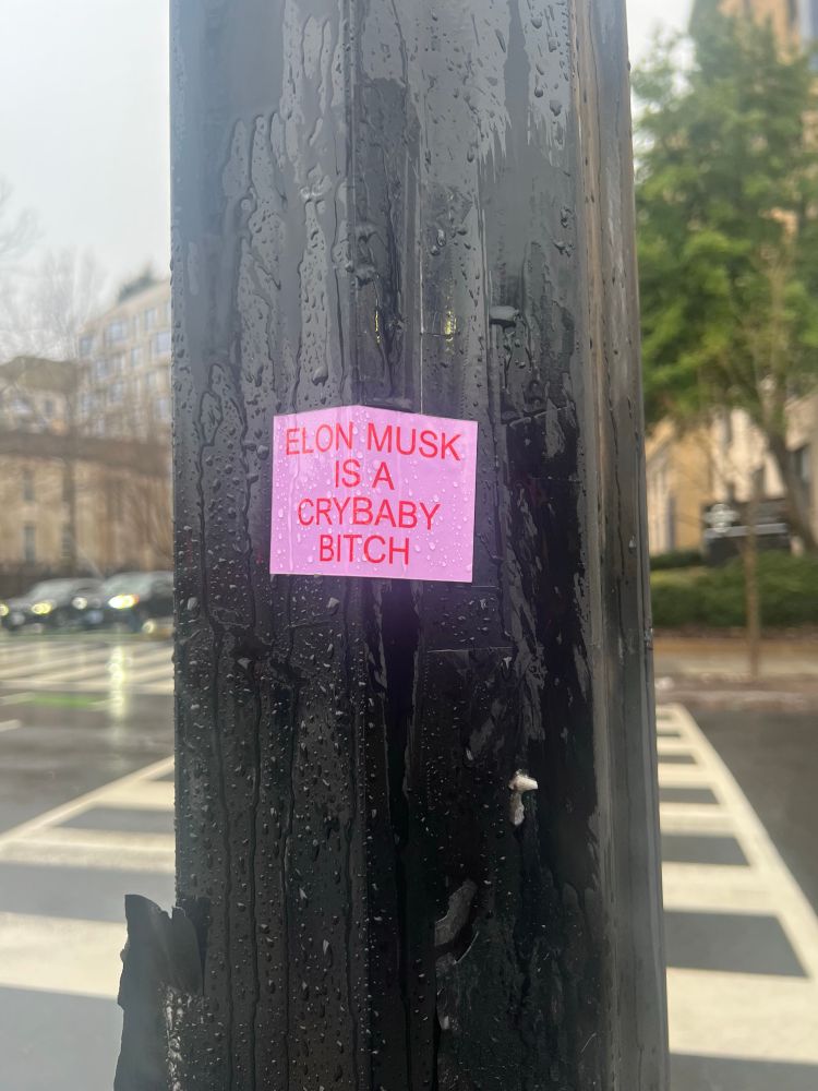 Pink sticker on telephone pole with red lettering reading “ELON MUSK IS A CRYBABY BITCH”