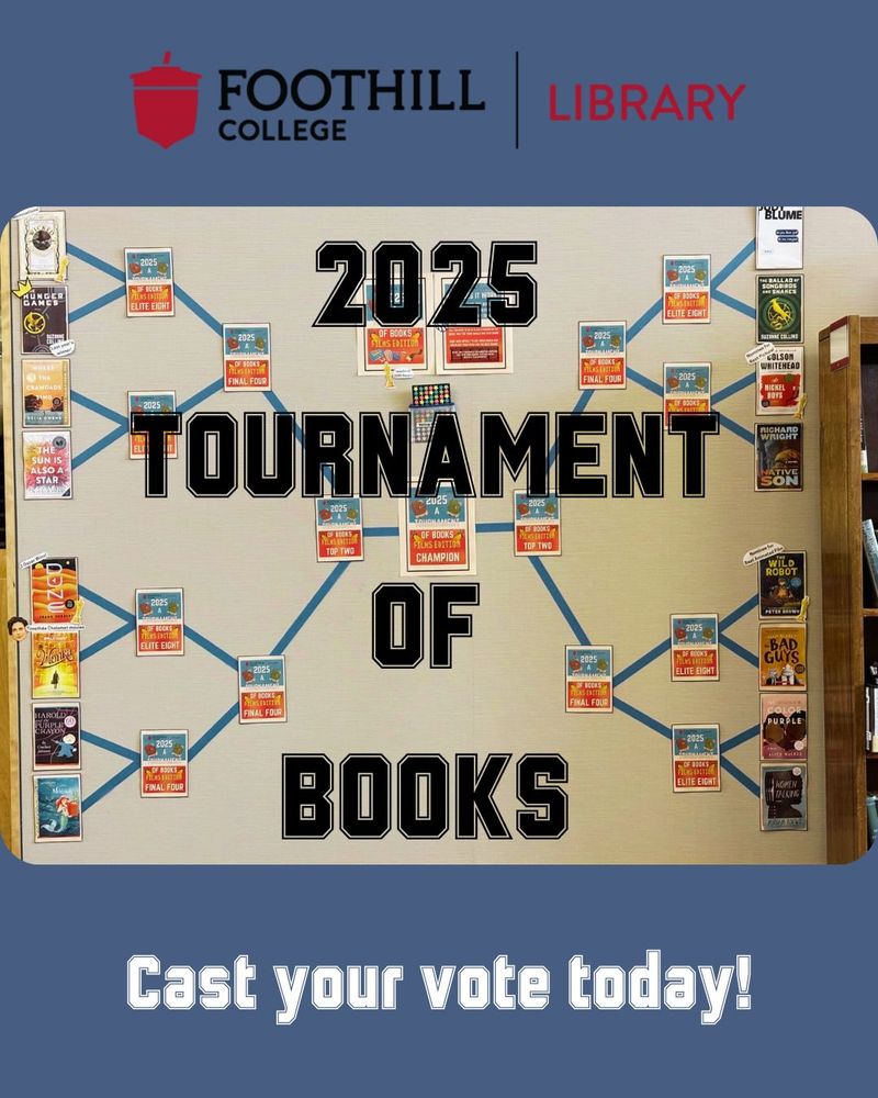 picture of tournament of books brackets.