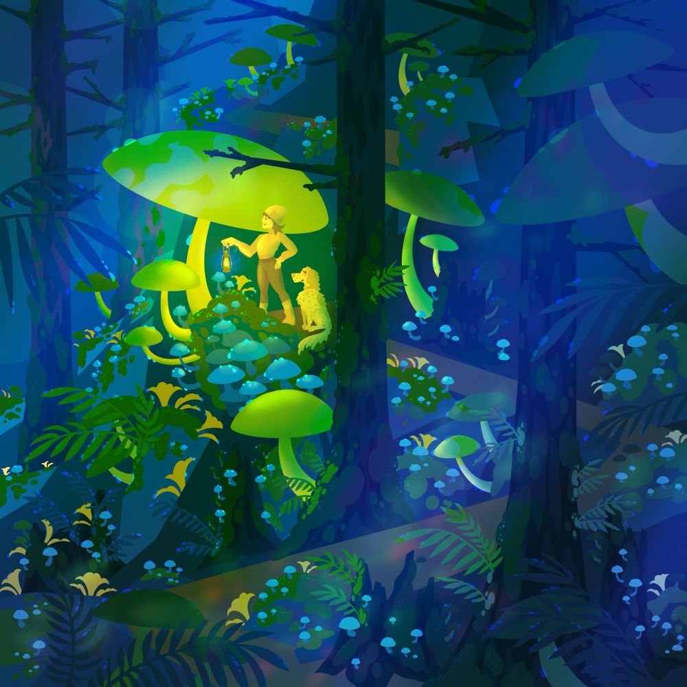 A green and blue illustration of a forest with giant mushrooms. A feminine figure stands on a ledge holding a lantern with a dog sitting close by.