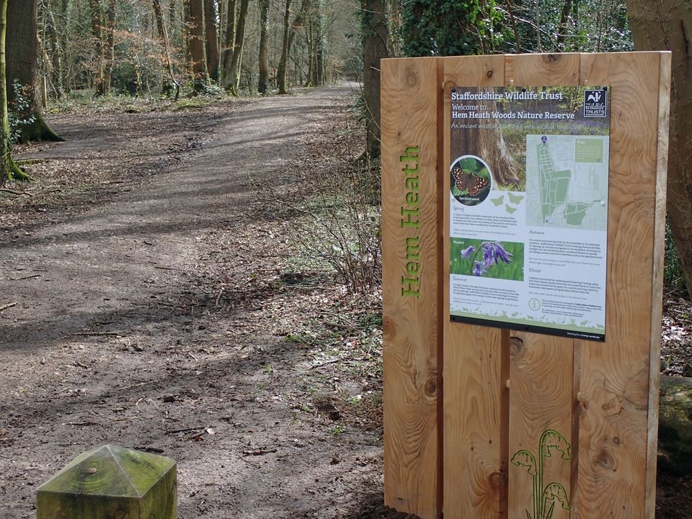 A wooden sign and information panel for Hem Heath Woods stands at the start of a long surfaced path through a woodland