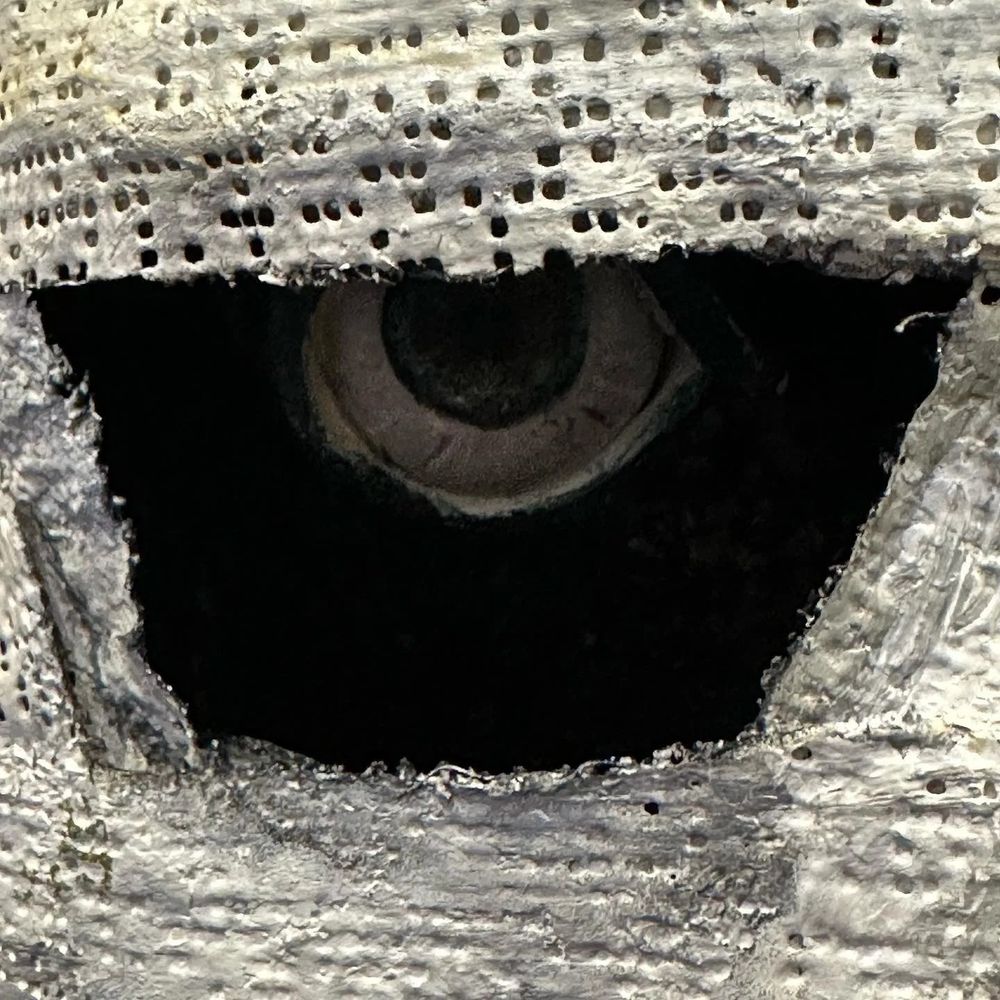 Picture of an eye peering behind a hole in a gauze mask.