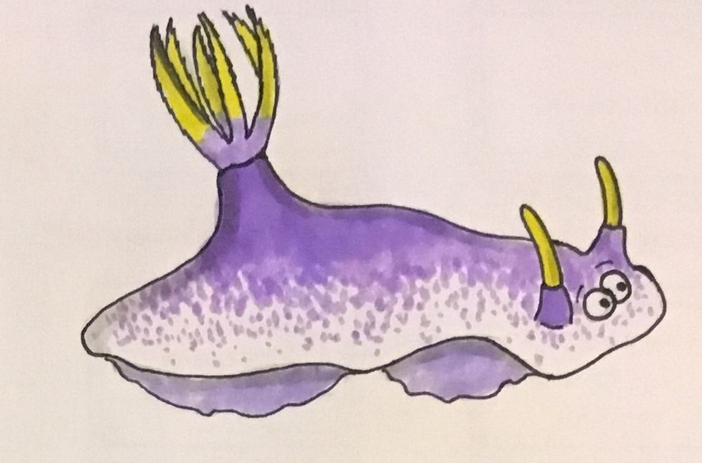 Drawing of a purple sea slug with yellow bits. 