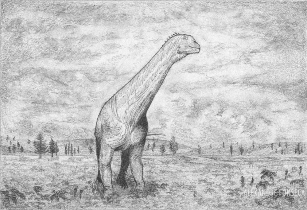 A lone sauropod standing in a fern plain, in the uplands of the Iberian massif 150Ma ago. The sky is overcast.