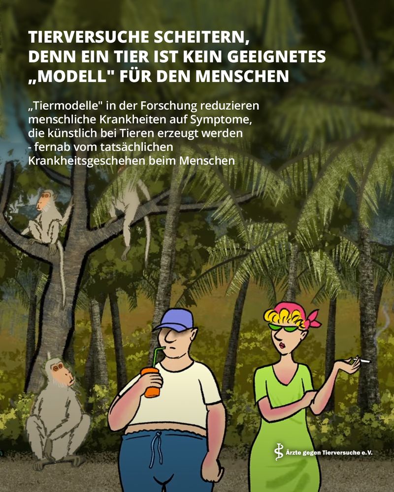 Das Bild zeigt eine Szene in einer tropischen Umgebung mit Palmen und dichter Vegetation. Im Hintergrund sitzen drei Affen in den Ästen eines Baumes und beobachten die Geschehnisse. Im Vordergrund stehen zwei Menschen, die sinnbildlich für einen ungesunden Lebensstil stehen könnten: ein übergewichtiger Mann mit blauer Kappe, der einen orangefarbenen Softdrink durch einen Strohhalm trinkt, und eine Frau in einem leuchtend grünen Kleid mit auffälliger gelb-pinker Aufmachung, die eine Zigarette raucht.

Der Text auf dem Plakat stellt die wissenschaftliche Kritik an Tiermodellen in den Mittelpunkt. Der Hauptslogan in großer, weißer Schrift lautet: "TIERVERSUCHE SCHEITERN, DENN EIN TIER IST KEIN GEEIGNETES „MODELL“ FÜR DEN MENSCHEN". Darunter folgt die Erklärung, dass "„Tiermodelle“ in der Forschung menschliche Krankheiten auf Symptome reduzieren, die künstlich bei Tieren erzeugt werden – fernab vom tatsächlichen Krankheitsgeschehen beim Menschen".

Die Kombination aus der Beobachtung der Menschen mit ihren selbstgewählten Risikofaktoren durch die Affen und dem Text suggeriert, dass die komplexen, oft durch Lebensstil mitbedingten Krankheiten des Menschen nicht durch künstlich im Tier erzeugte Symptome adäquat erforscht werden können. Das Logo von Ärzte gegen Tierversuche e. V. befindet sich dezent unten rechts.