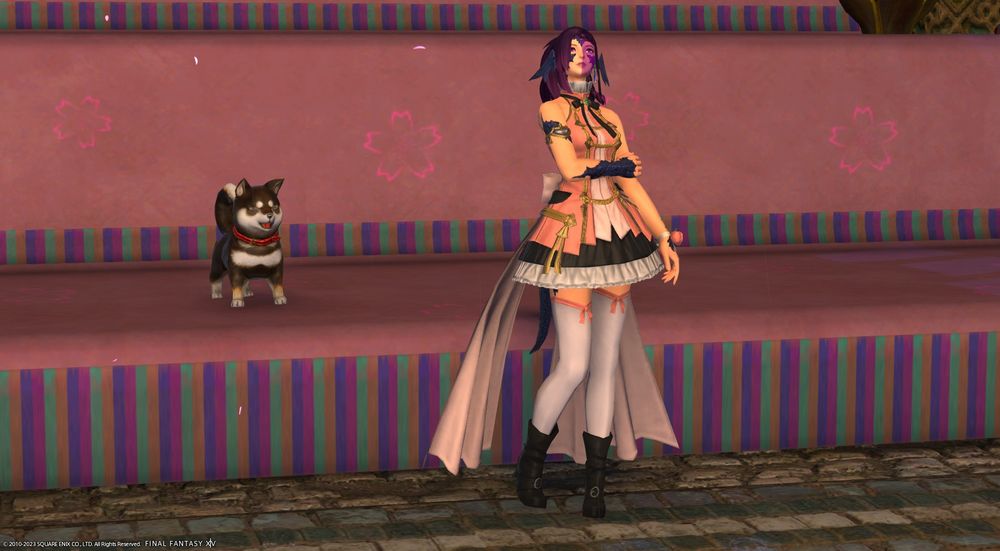 Au Ra woman with purple hair in a pony tail, a pink dress and black boots standing in front of a stage looking up while a small dog stands on the stage barking. The woman has horns for ears, scales on her arms and face, and a small dragon tail. Her dress has a pink ribbon on the back and she wears a rose corsage on her bracelete. The stage is mostly pink with sakura flowers but has some vertical pink, green, and blue stripes.