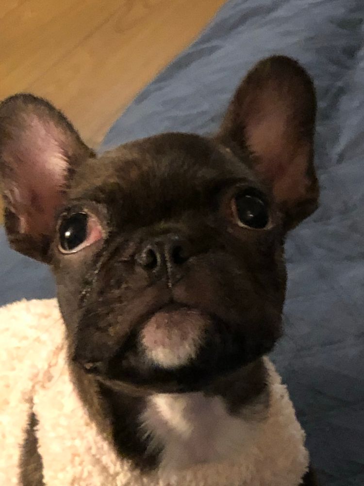 looking above camera