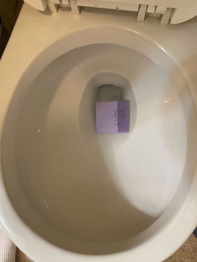 A post-it note reading “Big Chungus :3” sitting in a toilet bowl, half submerged
