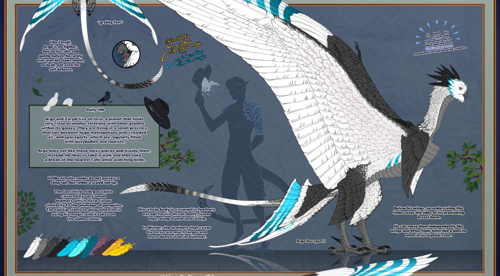 Close-ups of the first drawing -

Argos Reference sheet. Argo is an Occrushoa harpy, who lives on Ioris, together with Zarydi. His beast form has the appearance of an owl-like dragon with a long, slender body and feathered wings. His colours are blue, white and dark grey. 