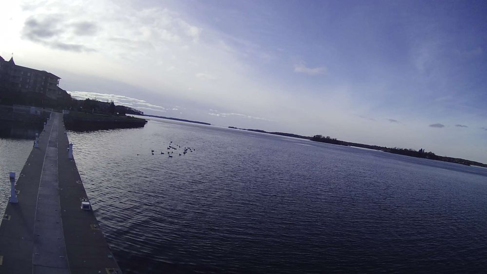 View from the the end of a dock looking back toward the shoreline in the Thousand Islands area of the St Lawrence River as it expands into Lake Ontario. // Image captured at: 2025-12-01 19:30:05 UTC (about 1 min. prior to this post) // Current Temp in Thousand Islands: 24.50 F | -4.17 C // Precip: broken clouds // Wind: WSW at 3.780 mph | 6.08 kph // Humidity: 64%