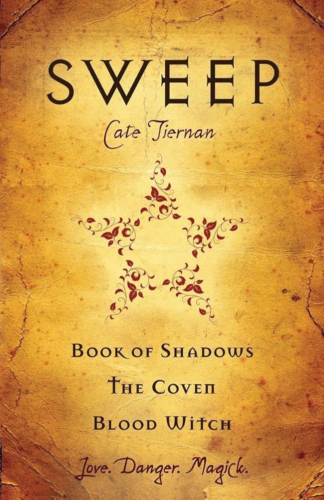 Book cover to “Sweep” series
