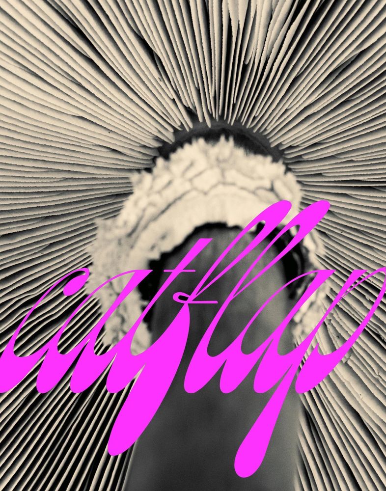 Cosmic-ish abstract image of rays or wool or something haloing a central hole or space, with the word catflap written in hot pink across the middle. 