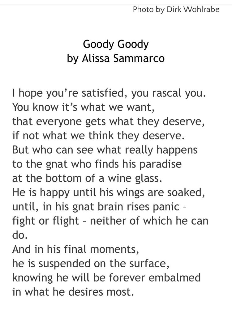 Thanks to scribesMICRO for publishing my poem today. 🍸🍾
