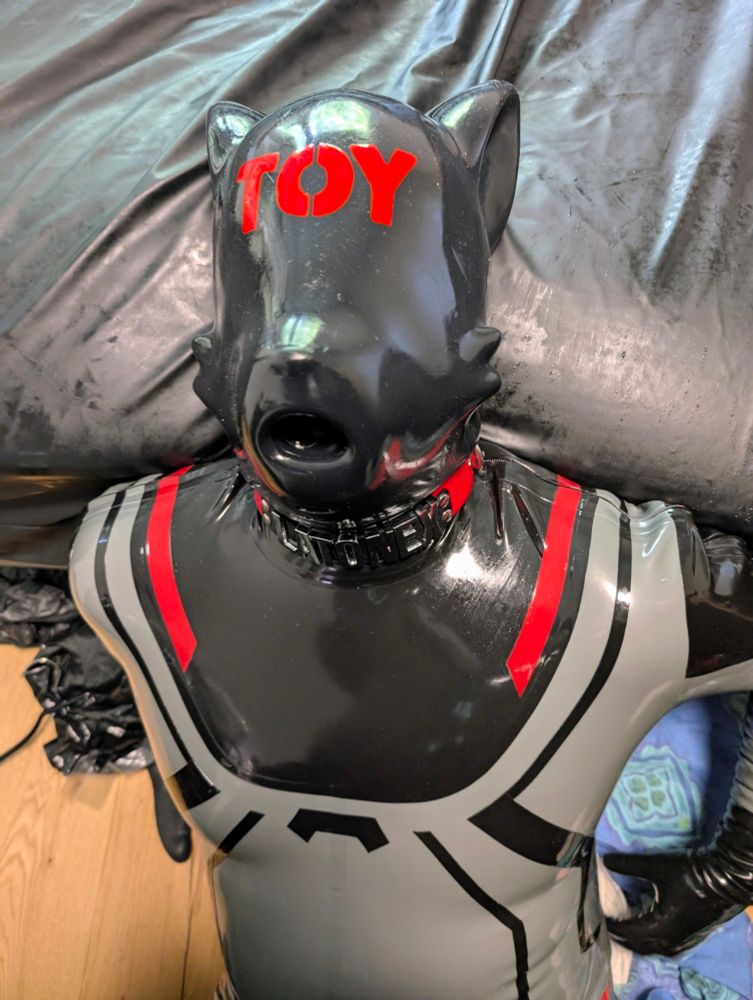 Me in my silver, black rubber suit with a silicone mask on with toy written on my forehead and a fleshlight in my mouth 