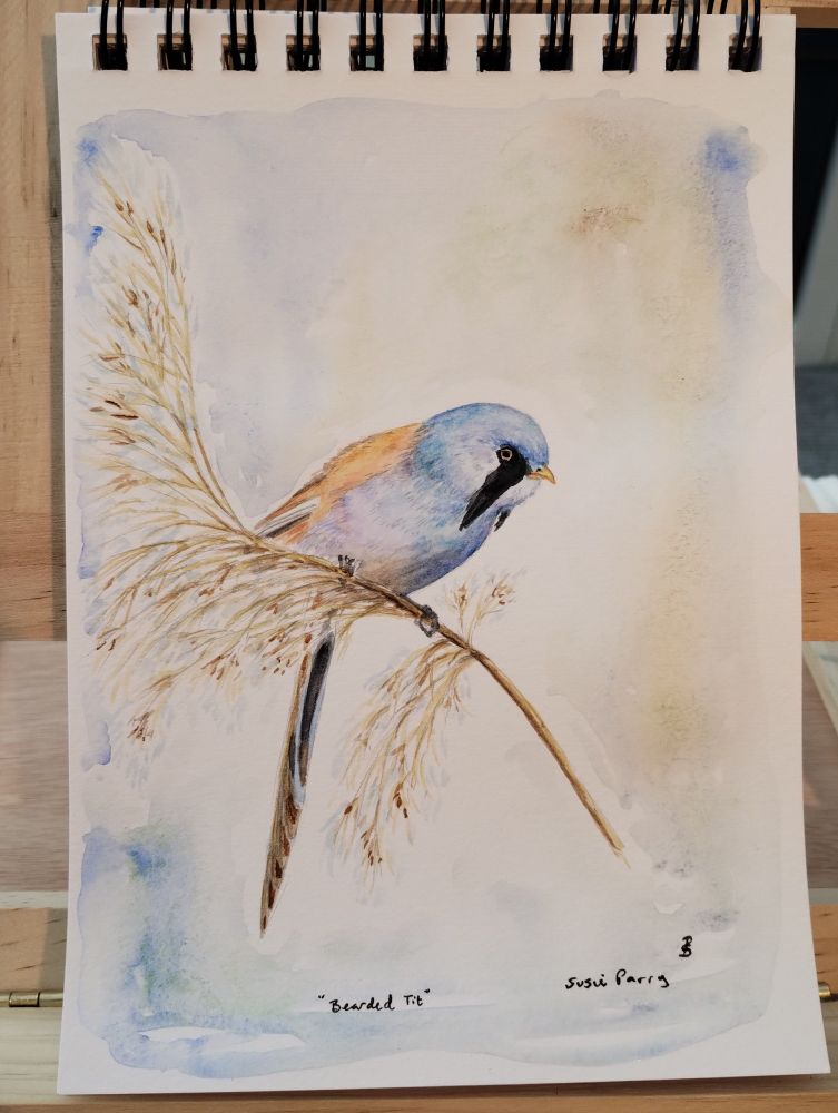 watercolor painting of a bearded tit on grass