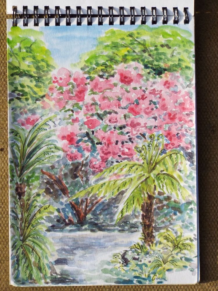 Blossom and tree ferns at Trelissick in Cornwall