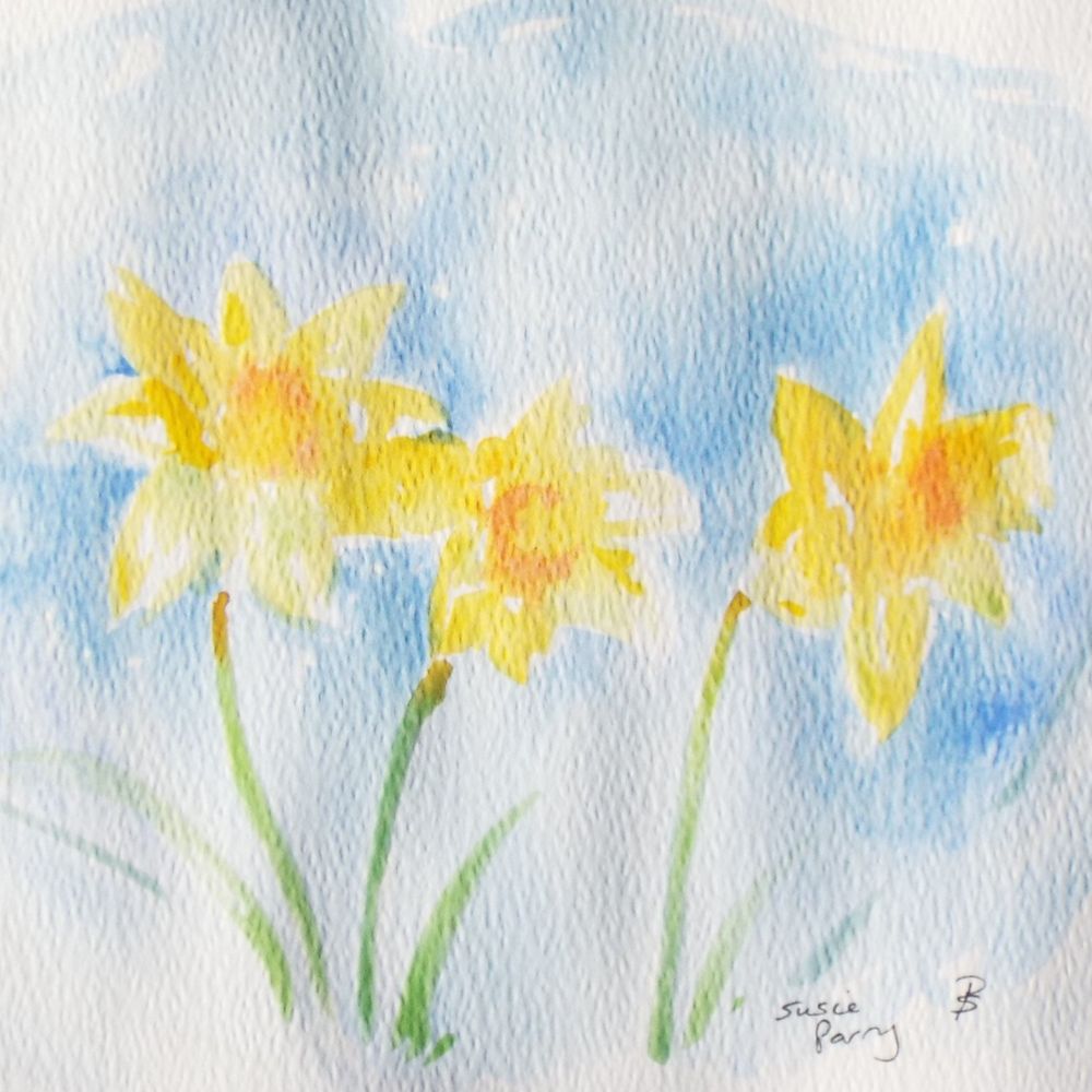 watercolor painting of three daffodils