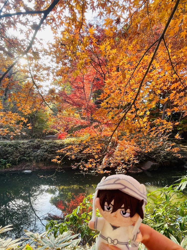 水面すれすれに伸びた赤い紅葉をバックにしたほわぬい天鬼チャン