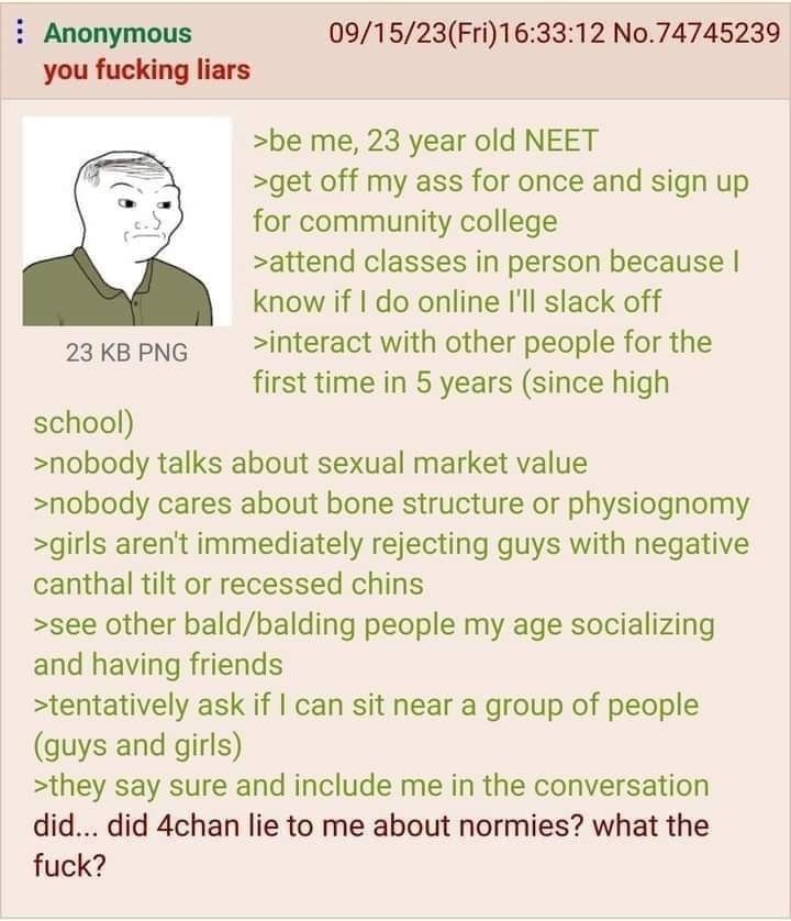 4 chan post with a picture of an upset balding guy. you fucking liars 23 KB PNG >be me, 23 year old NEET >get off my ass for once and sign up for community college >attend classes in person because I know if I do online I'll slack off >interact with other people for the first time in 5 years (since high a school) >nobody talks about sexual market value >nobody cares about bone structure or physiognomy >girls aren't immediately rejecting guys with negative canthal tilt or recessed chins >see other bald/balding people my age socializing and having friends >tentatively ask if I can sit near a group of peoplea (guys and girls) >they say sure and include me in the conversation did... did 4chan lie to me about normies? what the